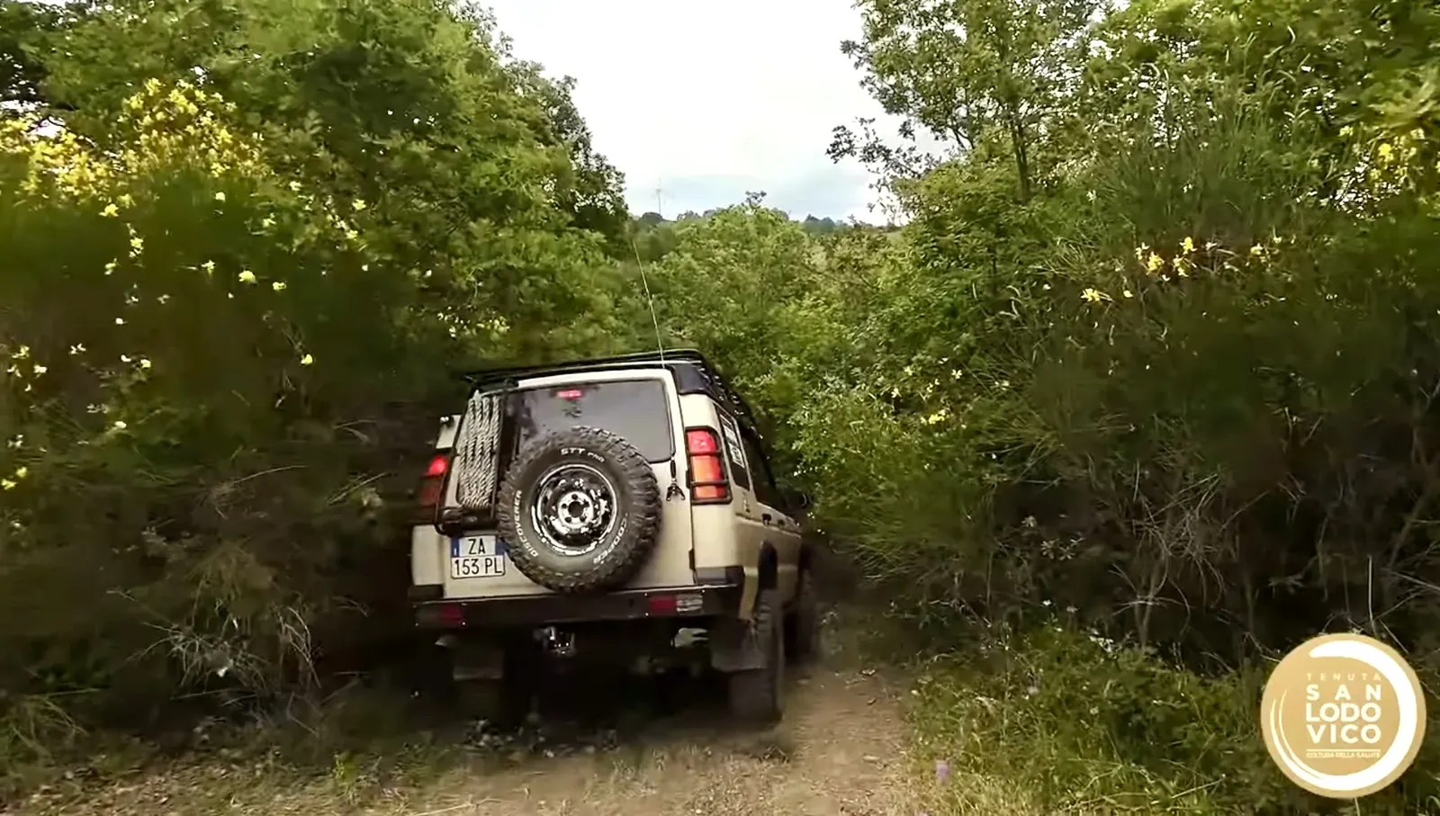 4×4 on a woodland track on the estate