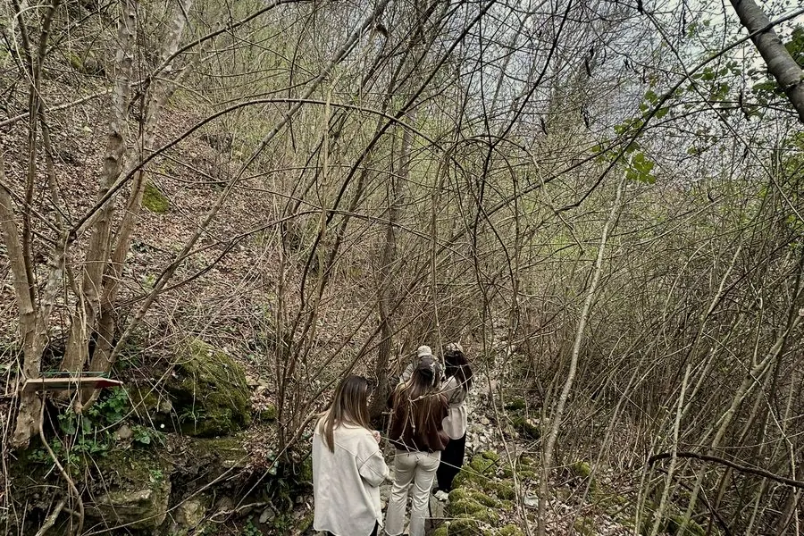 Nature trekking in the estate's woods